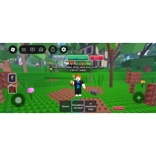 Garden Horizons Game Account - DawnBlossom