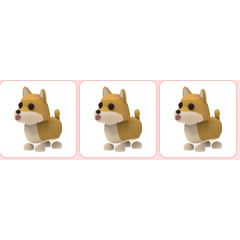 Roblox Adopt Me Shiba Inu