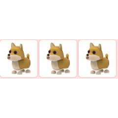 Pet Adopt Me 3x Shiba Inu In Game Items Gameflip - shiba inu roblox