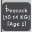 GODLY PEACOCK 100+kg when max no mutation 🧿CHRISTMAS SUPER DISCOUNT🧿
