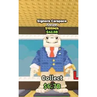 Signore Carapace