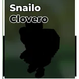 Snailo Clovero