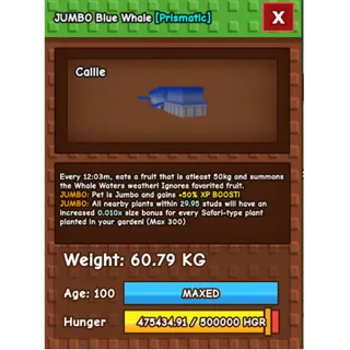 Blue Whale 60kg+ LIMITED STOCKS! 🧿FAST DELIVERY 🧿