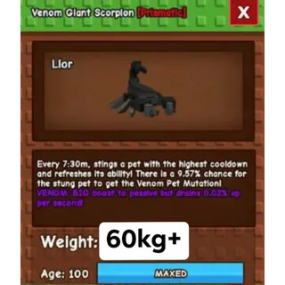 Giant Scorpion 60kg+ 🧿FAST DELIVERY🧿