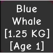 Blue Whale