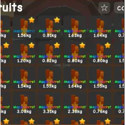 20x Rainbow Maple Carrot