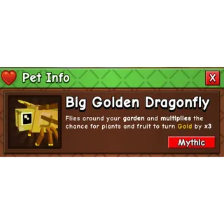 Big Golden dragonfly Limited Stocks!!! Quick delivery