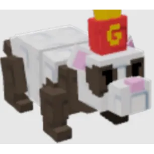 frech fry ferret grow a garden