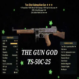 TS50C25 SUBMACHINE GUN