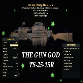 TS2515R RAILWAY RIFLE