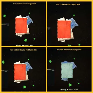 TAXIDERMY MOTH PLANS SET