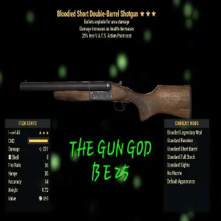 Weapon | BE25 DOUBLE  SHOTGUN
