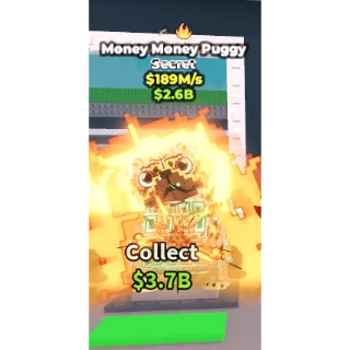 MONEY MONEY PUGGY  - 185MS | SAB