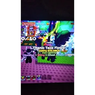 TITANIC TACO FLOWER | BEE GARDEN