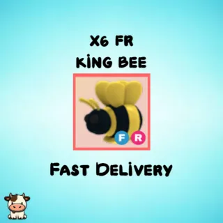 x6 FR King Bee