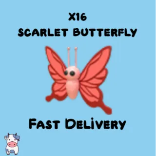 x16 Scarlet Butterfly