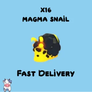x16 Magma Snail