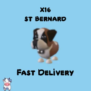 x16 St Bernard