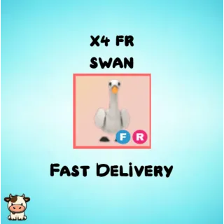 x4 FR Swan