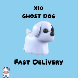 x10 Ghost Dog
