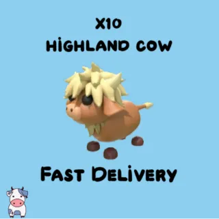x10 Highland Cow
