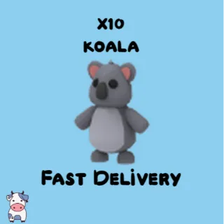 x10 Koala
