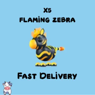 x5 Flaming Zebra