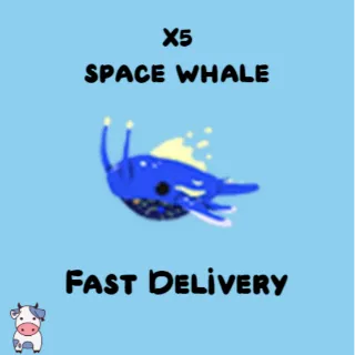 x5 Space Whale