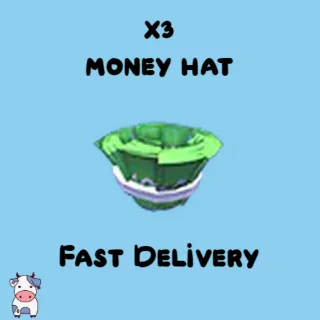 x3 Money Hat