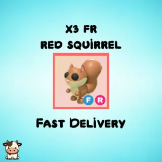 x3 FR Red Squirrel