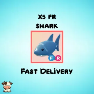 x5 FR Shark