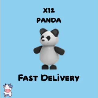 x12 Panda