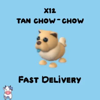 x12 Tan Chow-Chow