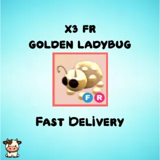 x3 FR Golden Ladybug