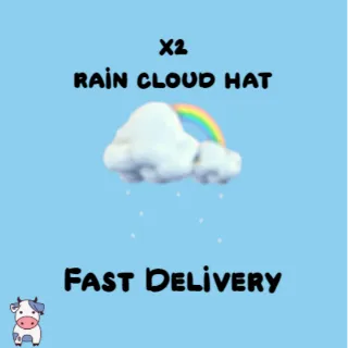 x2 Rain Cloud Hat