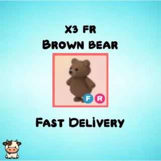 x3 FR Brown Bear