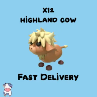 x12 Highland Cow