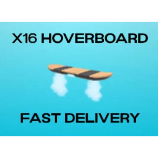x16 Hoverboard