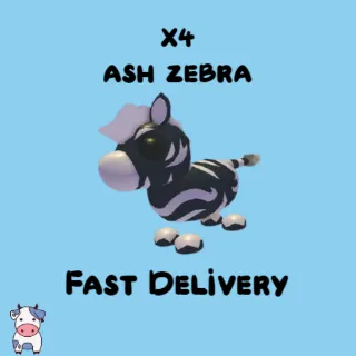 x4 Ash Zebra