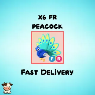 x6 FR Peacock
