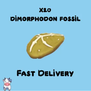 x20 Dimorphodon Fossil