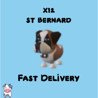 x12 St Bernard