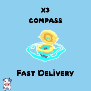 x3 Compass
