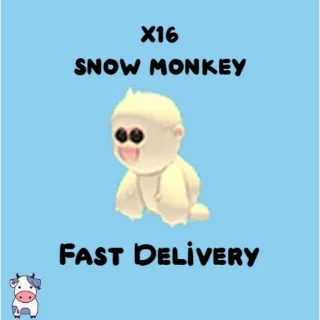 x16 Snow Monkey