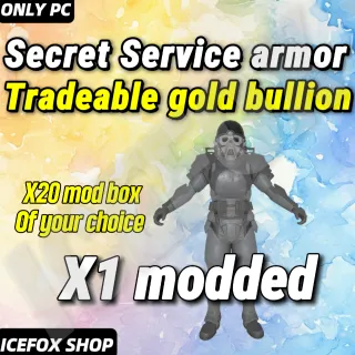 Secret Service armor