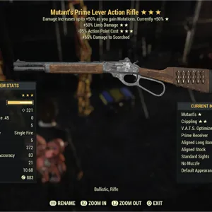 Lever Action Rifle