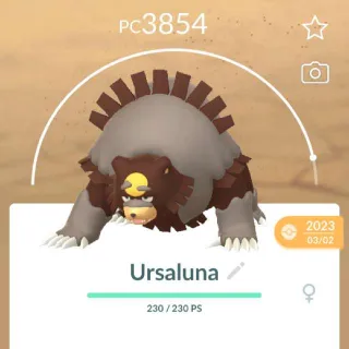 Pokémon go Level 40 Ursaluna