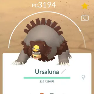 Pokémon go Ursaluna