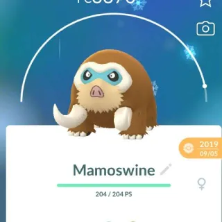 Pokémon go Level 40 Mamoswine