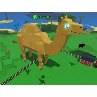 Camel| Catch and Tame!